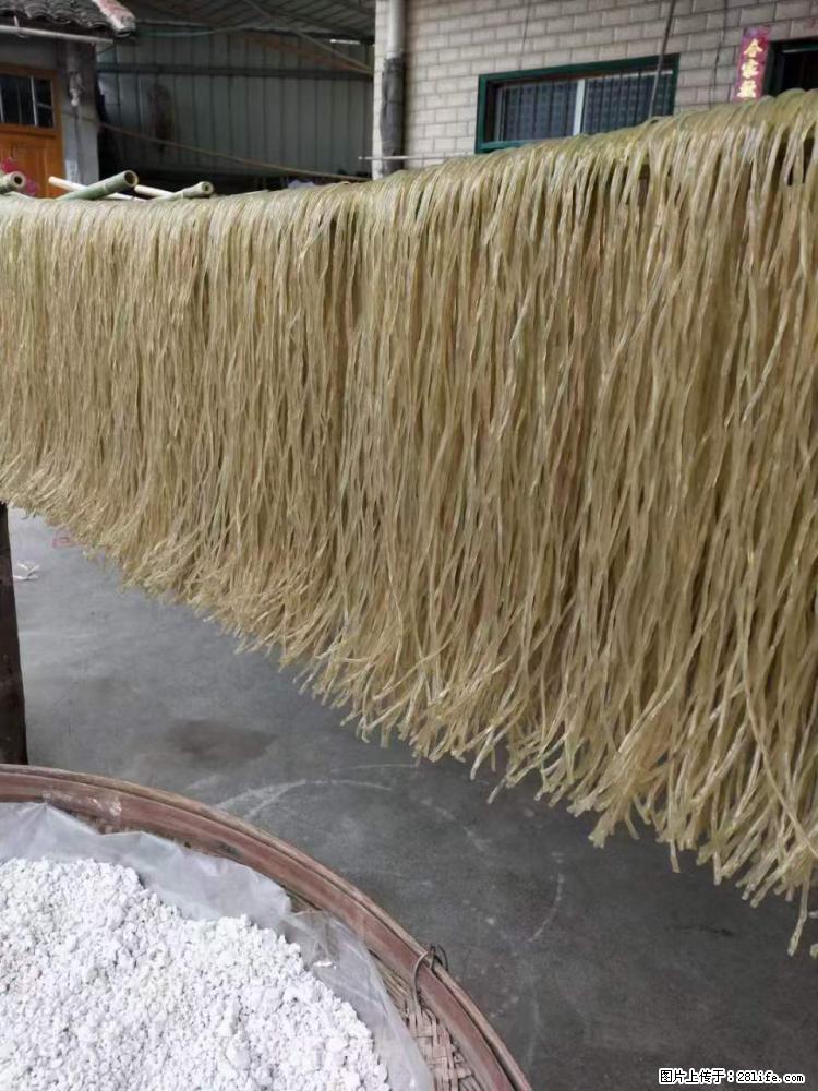 【灌阳正宗红薯粉】美女家里自己做的，干净卫生，假一赔十，价格合理，抢购电话：13737312895 - 美食天地 - 烟台生活社区 - 烟台28生活网 yt.28life.net