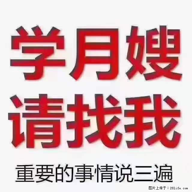 为什么要学习月嫂，育婴师？ - 其他广告 - 广告专区 - 烟台分类信息 - 烟台28生活网 yt.28life.net