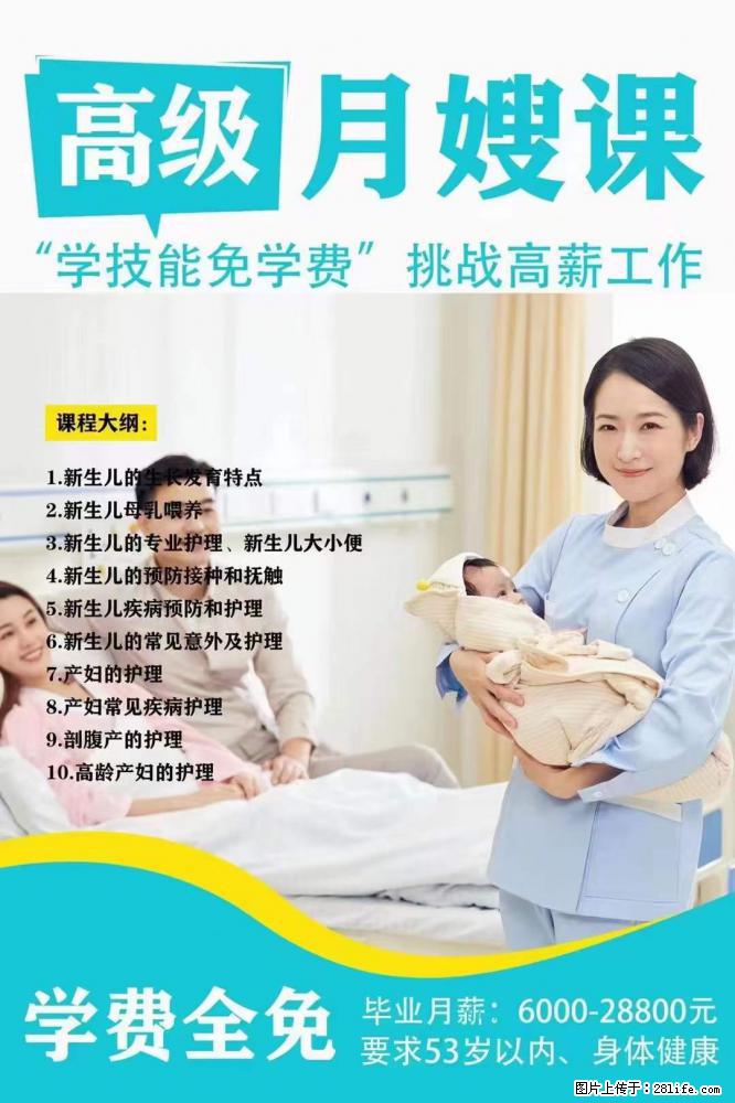 为什么要学习月嫂，育婴师？ - 其他广告 - 广告专区 - 烟台分类信息 - 烟台28生活网 yt.28life.net