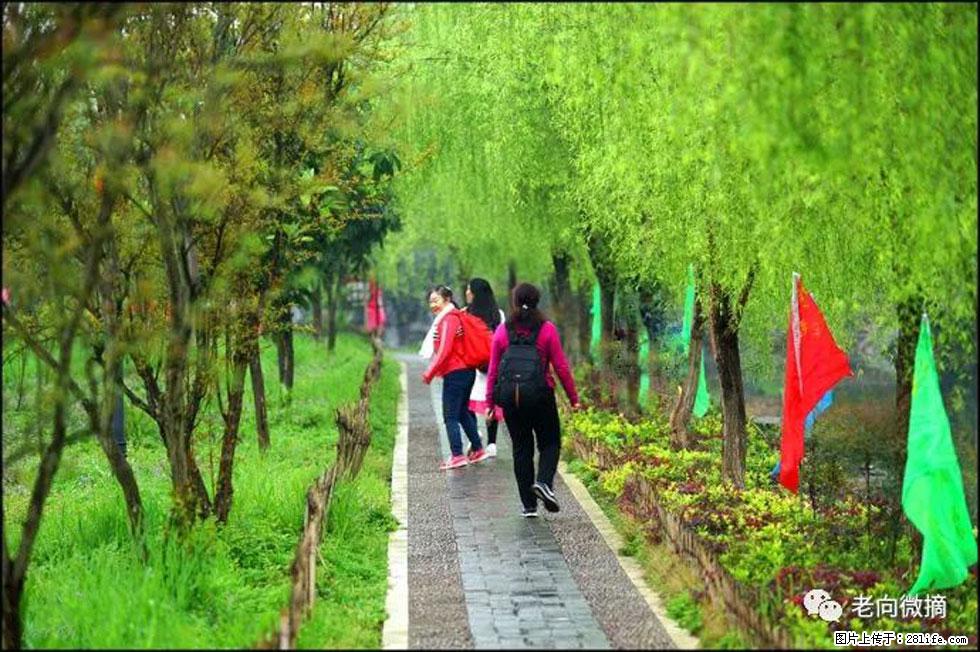 【春天，广西桂林灌阳县向您发出邀请！】江口老街又逢春 - 游山玩水 - 烟台生活社区 - 烟台28生活网 yt.28life.net