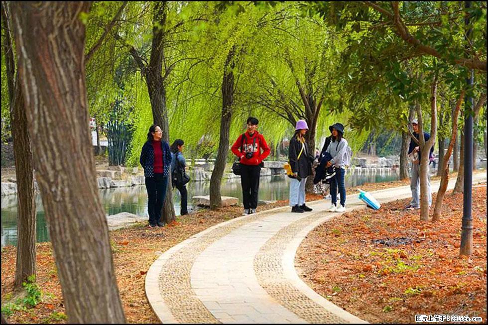 【春天，广西桂林灌阳县向您发出邀请！】江口老街又逢春 - 游山玩水 - 烟台生活社区 - 烟台28生活网 yt.28life.net