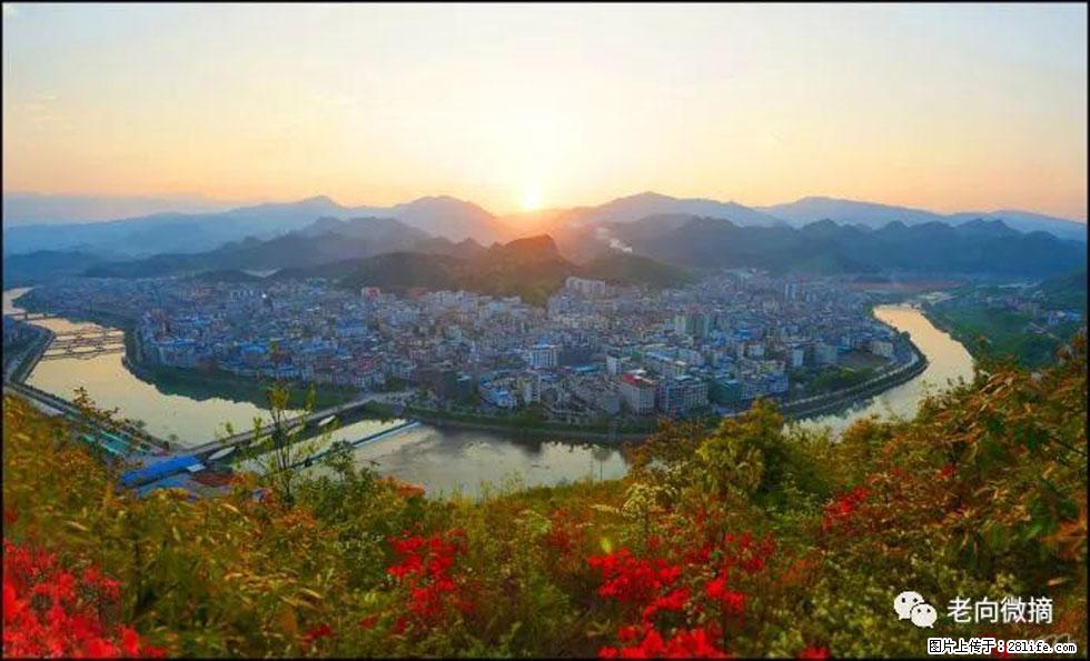 【春天，广西桂林灌阳县向您发出邀请！】登麒麟山，相约映山红 - 游山玩水 - 烟台生活社区 - 烟台28生活网 yt.28life.net