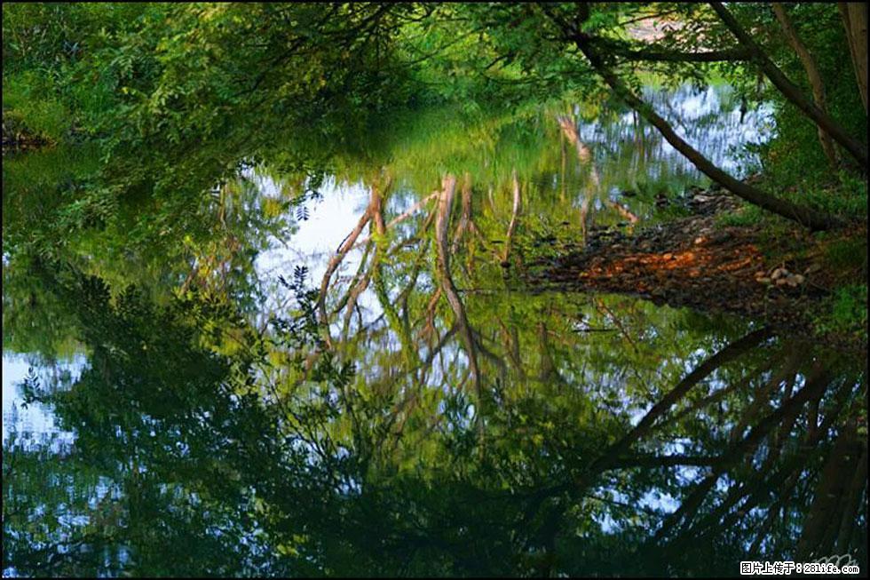 【春天，广西桂林灌阳县向您发出邀请！】熊家寨湿地公园 - 游山玩水 - 烟台生活社区 - 烟台28生活网 yt.28life.net
