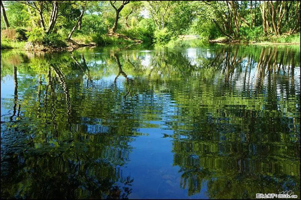 【春天，广西桂林灌阳县向您发出邀请！】熊家寨湿地公园 - 游山玩水 - 烟台生活社区 - 烟台28生活网 yt.28life.net