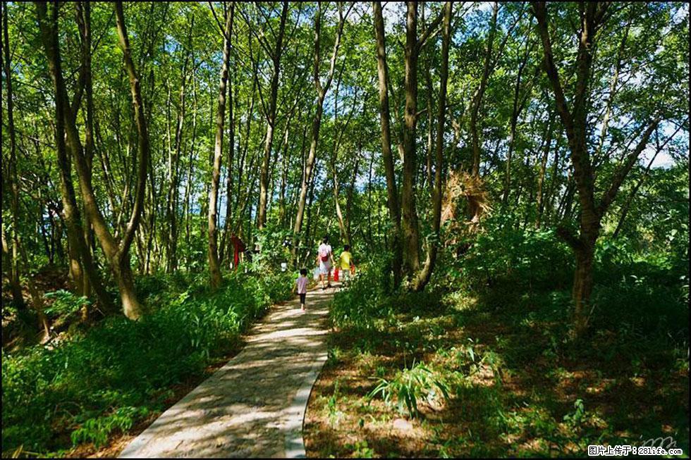 【春天，广西桂林灌阳县向您发出邀请！】熊家寨湿地公园 - 游山玩水 - 烟台生活社区 - 烟台28生活网 yt.28life.net