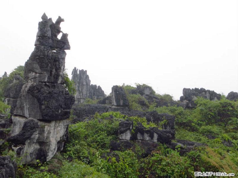 桂林旅游名城景点：灌阳文市石林 - 游山玩水 - 烟台生活社区 - 烟台28生活网 yt.28life.net