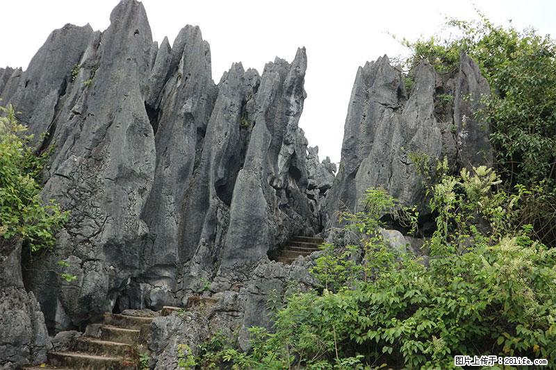 桂林旅游名城景点：灌阳文市石林 - 游山玩水 - 烟台生活社区 - 烟台28生活网 yt.28life.net