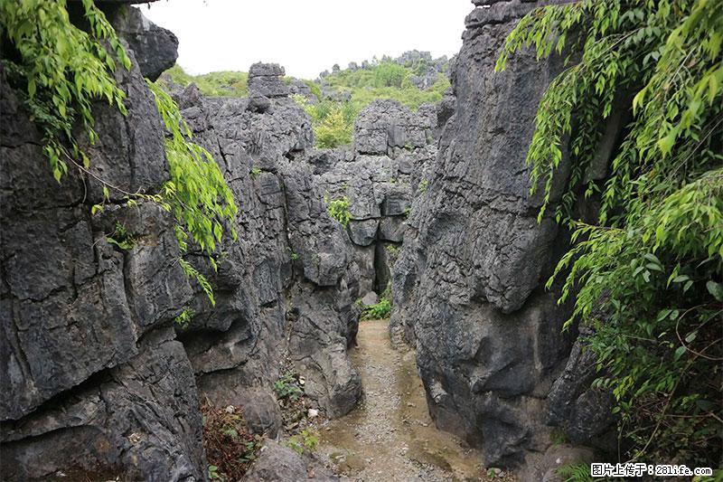 桂林旅游名城景点：灌阳文市石林 - 游山玩水 - 烟台生活社区 - 烟台28生活网 yt.28life.net