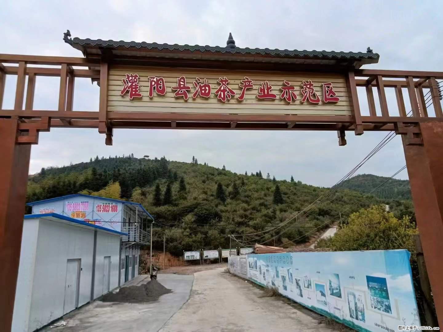 【灌阳县油茶产业示范区】一个有着充实的精神生活的人，对待身外之物自会有一种淡泊的态度 - 美食天地 - 烟台生活社区 - 烟台28生活网 yt.28life.net