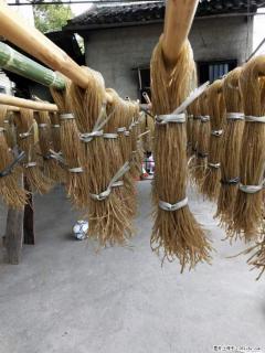 【灌阳正宗红薯粉】美女家里自己做的，干净卫生，假一赔十，价格合理，抢购电话：13737312895 - 烟台28生活网 yt.28life.net