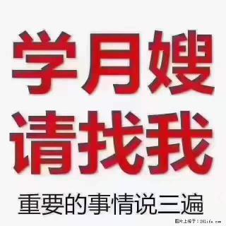 为什么要学习月嫂，育婴师？ - 烟台28生活网 yt.28life.net
