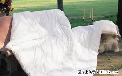 被子有异味？只要这样做，比晒太阳还强100倍！ - 家居生活 - 烟台生活社区 - 烟台28生活网 yt.28life.net