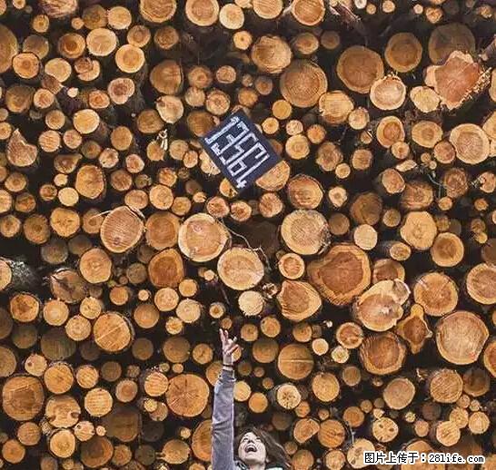 辞掉工作周游世界？现在他们在洗厕所…… - 游山玩水 - 烟台生活社区 - 烟台28生活网 yt.28life.net