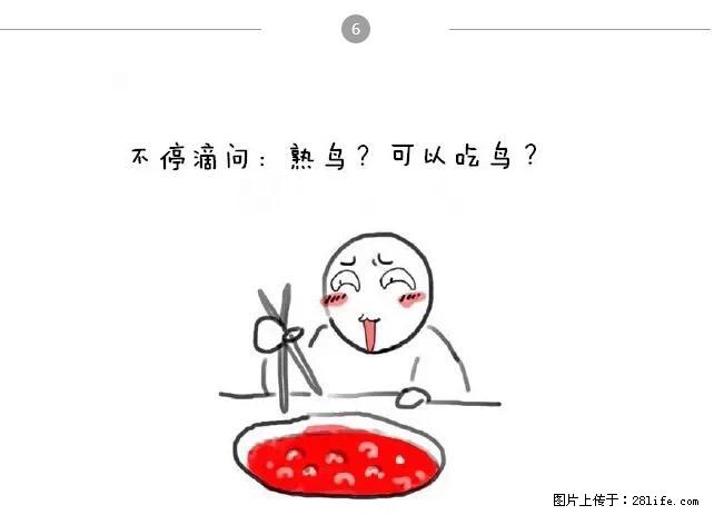 千万不要和这9种哈卵一起吃火锅！ - 美食天地 - 烟台生活社区 - 烟台28生活网 yt.28life.net