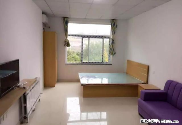 美房源市中心 精装修小公寓 家电齐全 仅800 免费wif - 房屋出租 - 房屋租售 - 烟台分类信息 - 烟台28生活网 yt.28life.net