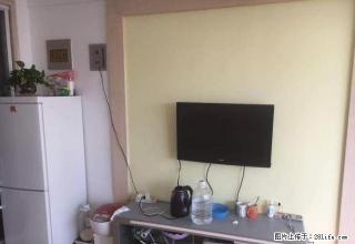 房子好不好，看了就知道，海阔天高 1400元 1室1厅1卫 - 烟台28生活网 yt.28life.net