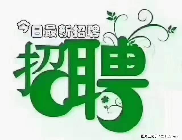 【招聘】产康师 - 职场交流 - 烟台生活社区 - 烟台28生活网 yt.28life.net