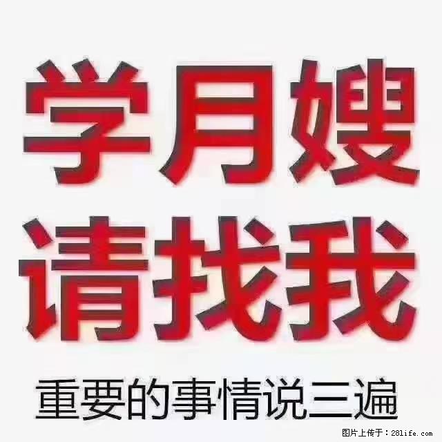 【招聘】月嫂，上海徐汇区 - 职场交流 - 烟台生活社区 - 烟台28生活网 yt.28life.net
