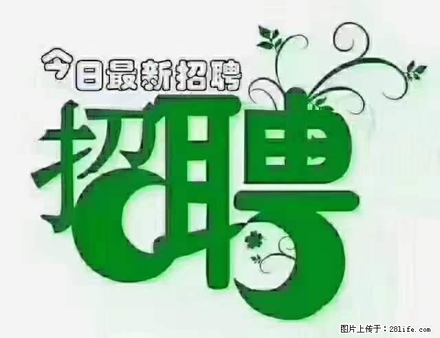 上海青浦区招仓管 - 职场交流 - 烟台生活社区 - 烟台28生活网 yt.28life.net