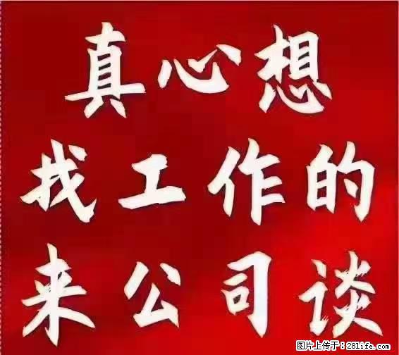 【上海】国企，医院招两名男保安，55岁以下，身高1.7米以上，无犯罪记录不良嗜好 - 职场交流 - 烟台生活社区 - 烟台28生活网 yt.28life.net