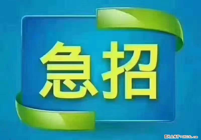 招财务，有会计证的，熟手会计1.1万底薪，上海五险一金，包住，包工作餐，做六休一 - 职场交流 - 烟台生活社区 - 烟台28生活网 yt.28life.net