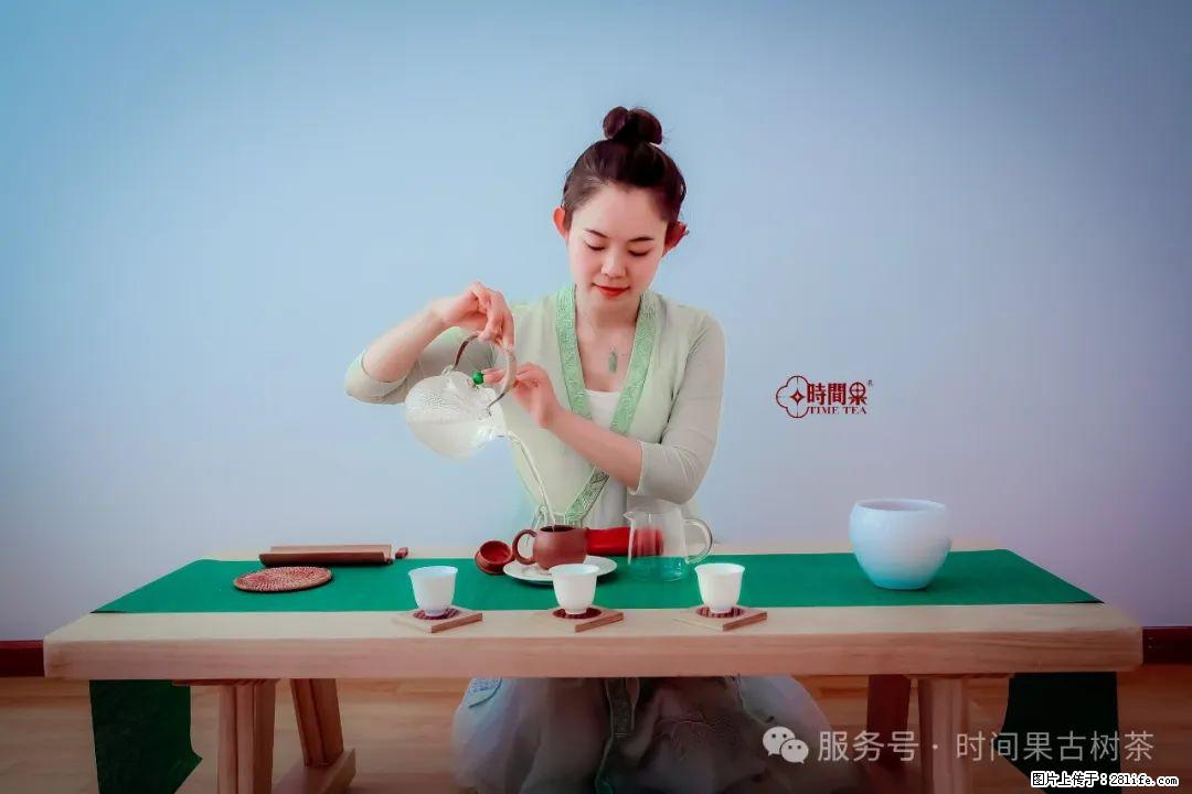 时间果百年古树龙珠普洱生茶 - 购物交流 - 烟台生活社区 - 烟台28生活网 yt.28life.net