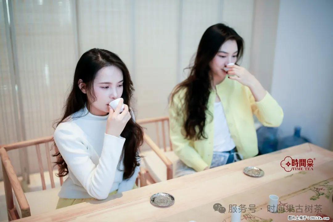时间果百年古树龙珠普洱生茶 - 购物交流 - 烟台生活社区 - 烟台28生活网 yt.28life.net