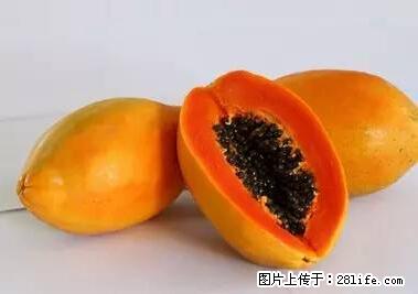 晕车、脚气、牙齿变黄、皮肤粗糙？学会这些三分钟搞定！ - 烟台生活资讯 - 烟台28生活网 yt.28life.net