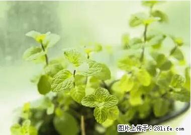 晕车、脚气、牙齿变黄、皮肤粗糙？学会这些三分钟搞定！ - 烟台生活资讯 - 烟台28生活网 yt.28life.net