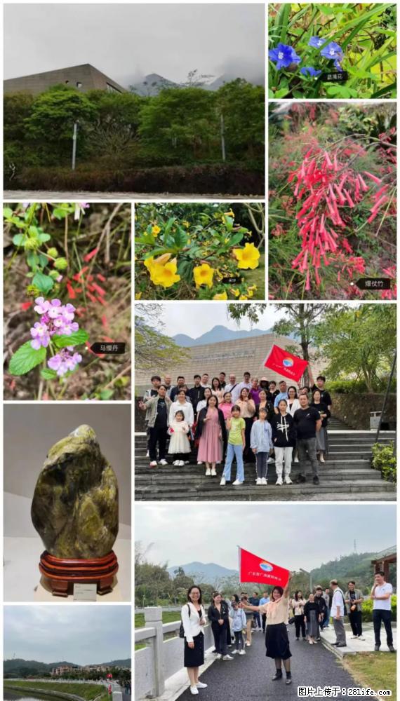 “粤灌文化 美好生活”油茶文化主题活动在广东深圳成功举办 - 烟台生活资讯 - 烟台28生活网 yt.28life.net