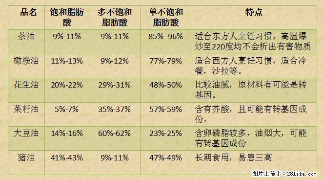 揭秘茶油的5大核心营养成分!被称为人体健康的“守护盾”! - 烟台生活资讯 - 烟台28生活网 yt.28life.net
