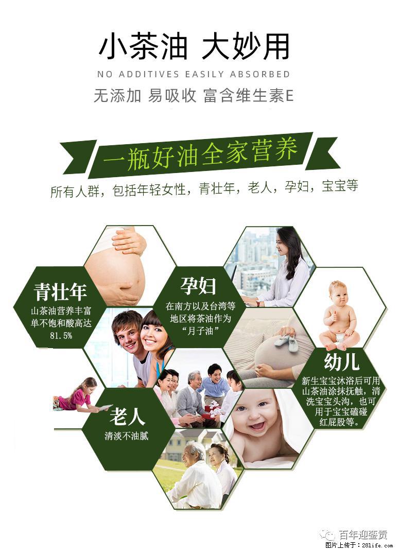 世界没有真相，只有认知，最好的食用油是中国的山茶油！ - 烟台生活资讯 - 烟台28生活网 yt.28life.net