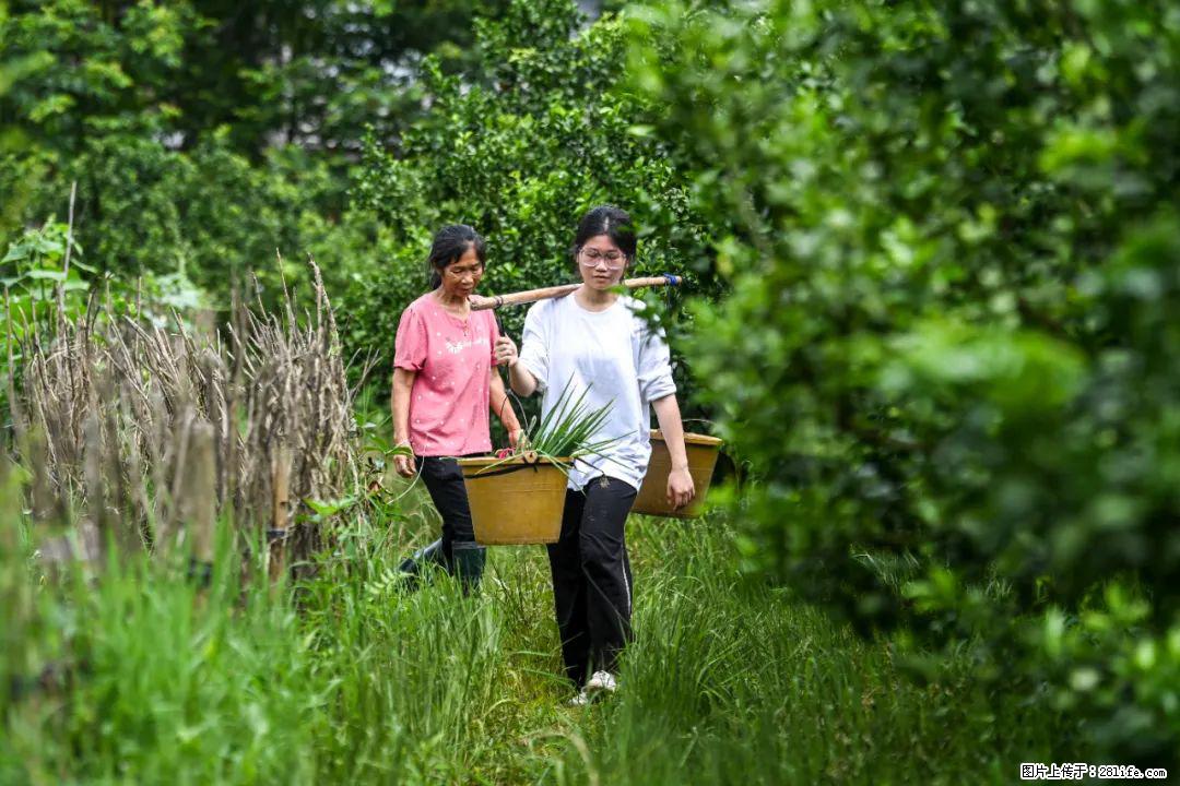 全网追的“扁担女孩”，找了一份暑假工，时薪12元 - 烟台生活资讯 - 烟台28生活网 yt.28life.net