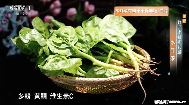 比牛奶补钙还厉害！凉血解毒、稳血糖...这菜冬天必吃，很多人却当草 - 烟台生活资讯 - 烟台28生活网 yt.28life.net