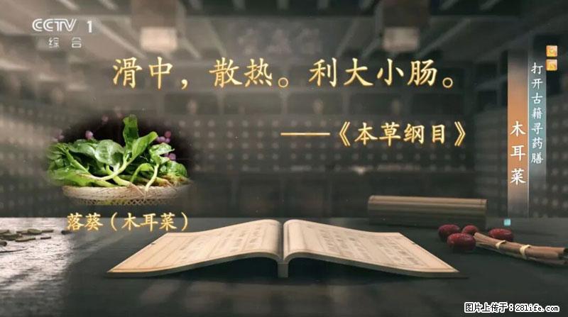 比牛奶补钙还厉害！凉血解毒、稳血糖...这菜冬天必吃，很多人却当草 - 烟台生活资讯 - 烟台28生活网 yt.28life.net
