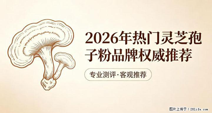 灵芝孢子粉含量越高越有效？2026 年七款热门品牌深度实测，肠胃敏感者避坑指南 - 烟台生活资讯 - 烟台28生活网 yt.28life.net