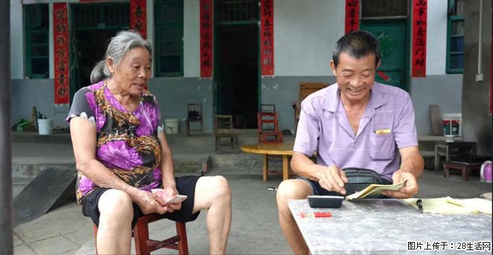 【乡村振兴】文市蜂糖李、黄金奈李迎丰产上市季 甜蜜产业助振兴 - 烟台生活资讯 - 烟台28生活网 yt.28life.net